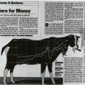 Scapegoat for a Volatile Problem