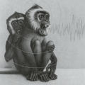 How Animals Predict Earthquakes