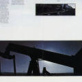 Cetus Annual Report 1981