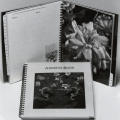 Decorative Arts