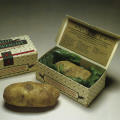 Irish Paperweight