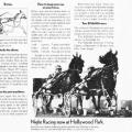 “How to beat the horses."