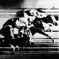 Horseraces poster