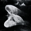 Angel Alley/Linda Cohen