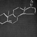 A Corporation and a Molecule, booklet