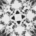 The Bettmann Panopticon Show, flyers