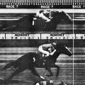 Top Thoroughbreds…, poster