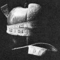 Taking the Measure of Two Media, cover