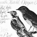 The Cuckoo and the Nightingale, record cover