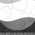 Answers to the Exhibition of Puzzles, booklet