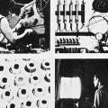 Fotochrome, Inc. Annual Report 1961