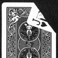 Knave of Hearts, book jacket