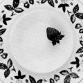 “Wedding gift from Wedgwood:”