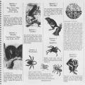 Little Creatures; 1978 Sierra Club Calendar and Almanac for Young People