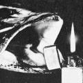 “The amazing story of a Zippo”