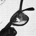 Blind Man’s Mark, book jacket