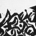 Joseph Suk, record album