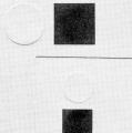 Naomi Savage, letterhead