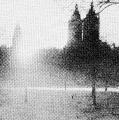 “New York is Up in Central Park”
