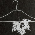 Fall Fashion Firsts