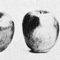 Apple Piece