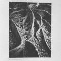 Ansel Adams, Images 1923–1974