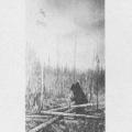 Lumberjack