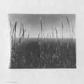 Edward Weston: Fifty Years