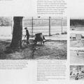 The Nature of Recreation
