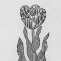 Flora Exotica