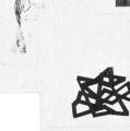 Leo Lionni, exhibition catalog