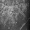Hawaiian Petroglyphs