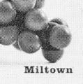 Miltown, booklet