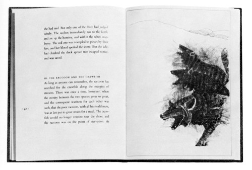 The Fire Plume: Legends of the American Indians