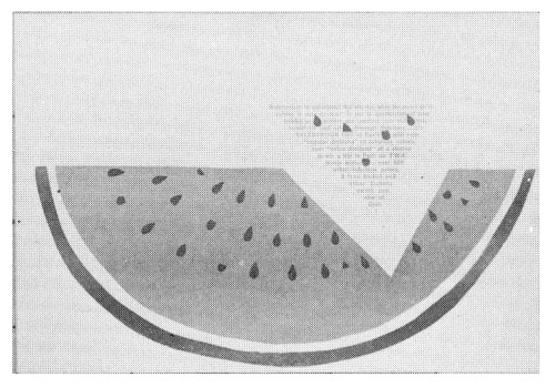 “Watermelons in mid-winter?”