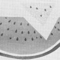 “Watermelons in mid-winter?”