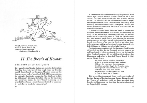 Hounds and Hunting in Ancient Greece