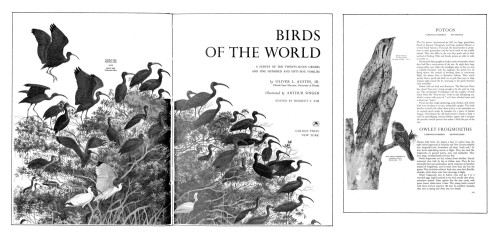 Birds of the World