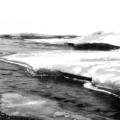 “In Wildness is the Preservation of the World”