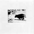 The Bullfight: A Photographic Narrative