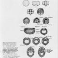 Principles of Biology, 2nd Edition