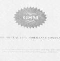 Golden State Mutual Life Insurance Company Insurance Policy