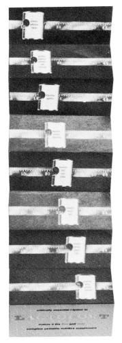Lactofort Scale