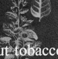 About Tobacco