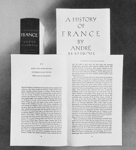 A History of France