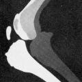 Veterinary Scope, magazine