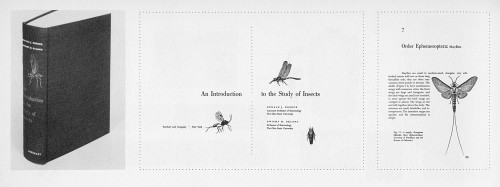 An Introduction to the Study of Insects