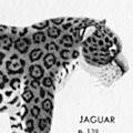 The Mammal Guide