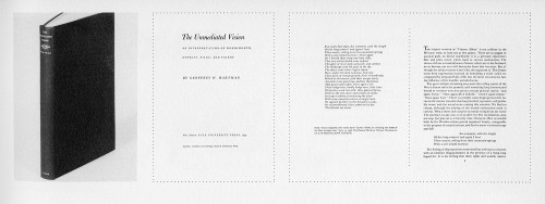 The Unmediated Vision