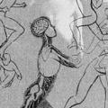 Wonders of the Human Body